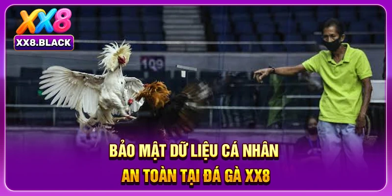 Bảo mật dữ liệu cá nhân an toàn tại đá gà XX8